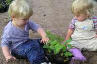 Linnea och Wilma planterar Mormorshallon