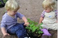 Linnea och Wilma planterar Mormorshallon